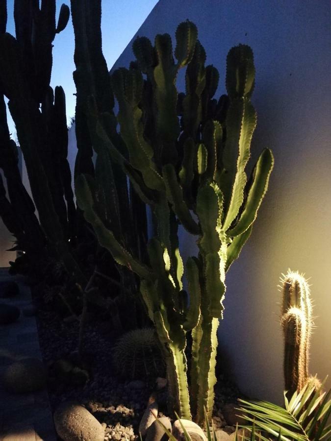 Casa Euphorbia Villa Las Negras Eksteriør bilde